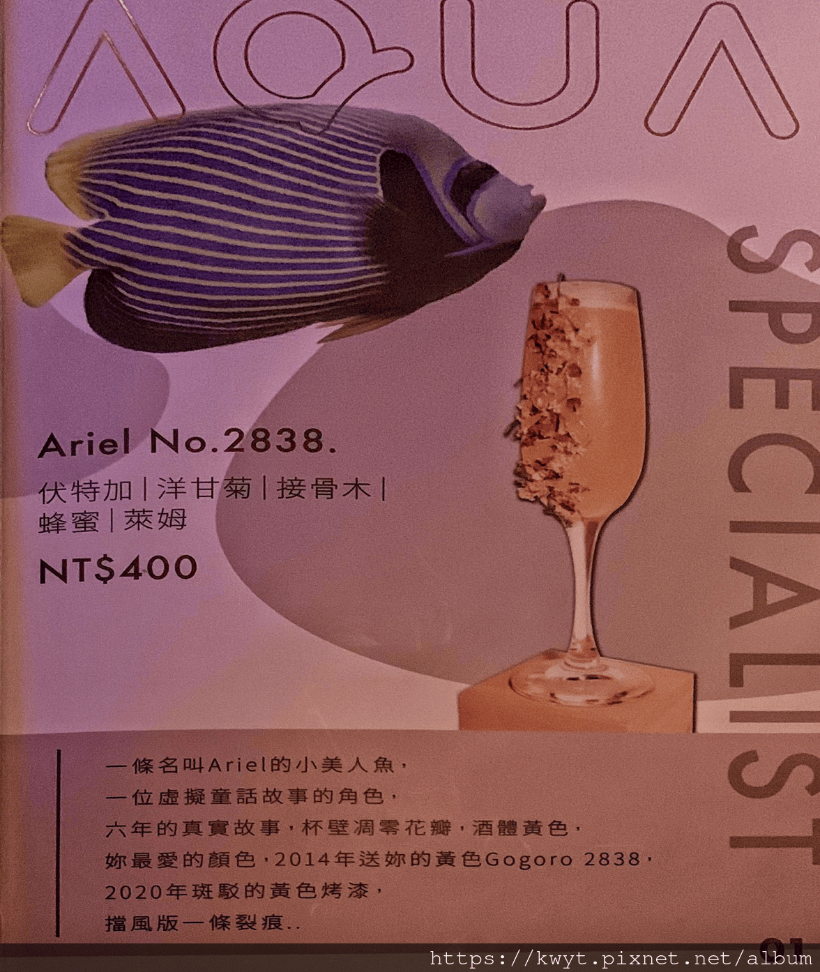 20250222_-397a3