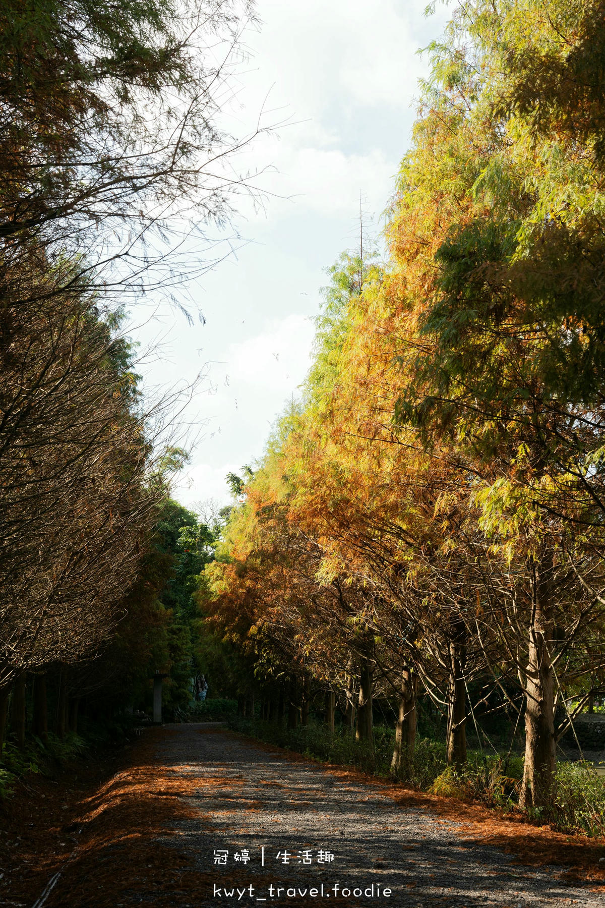 三峽美食餐廳推薦-鳶山紅樓-三峽聚餐餐廳推薦-三峽景觀餐廳推薦-三峽午餐推薦-三峽晚餐推薦-台北三峽包廂餐廳推薦-台北景觀餐廳推薦-24.jpg