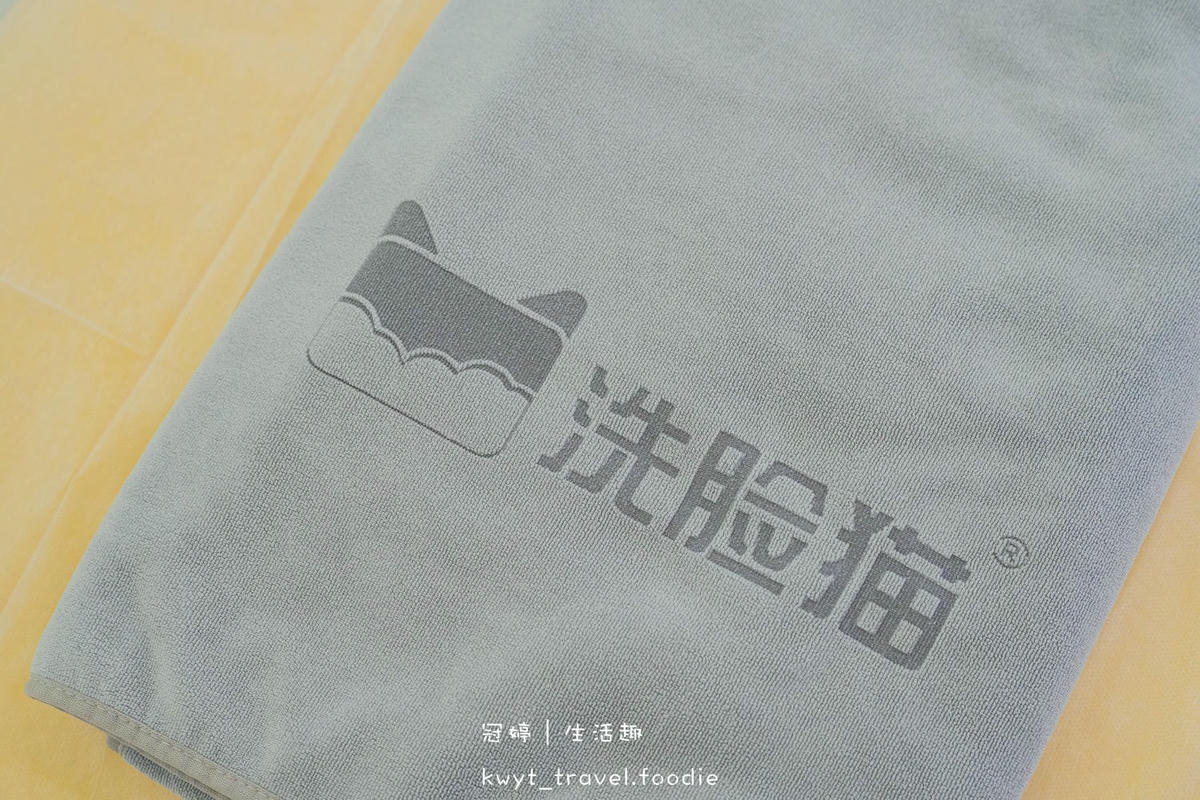 台南臉部保養_洗臉貓台南東橋店，單次洗臉520元起！科技洗臉