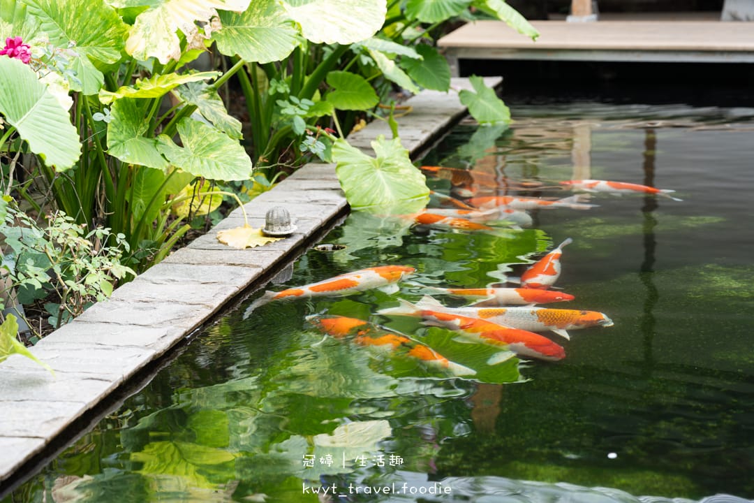 [雲林斗南景觀餐廳]榕苑古蹟餐飲，雲林最美古蹟餐廳！IG打卡百年老宅，嚴選履歷食材，雲林斗南包廂聚餐推薦，附最新菜單