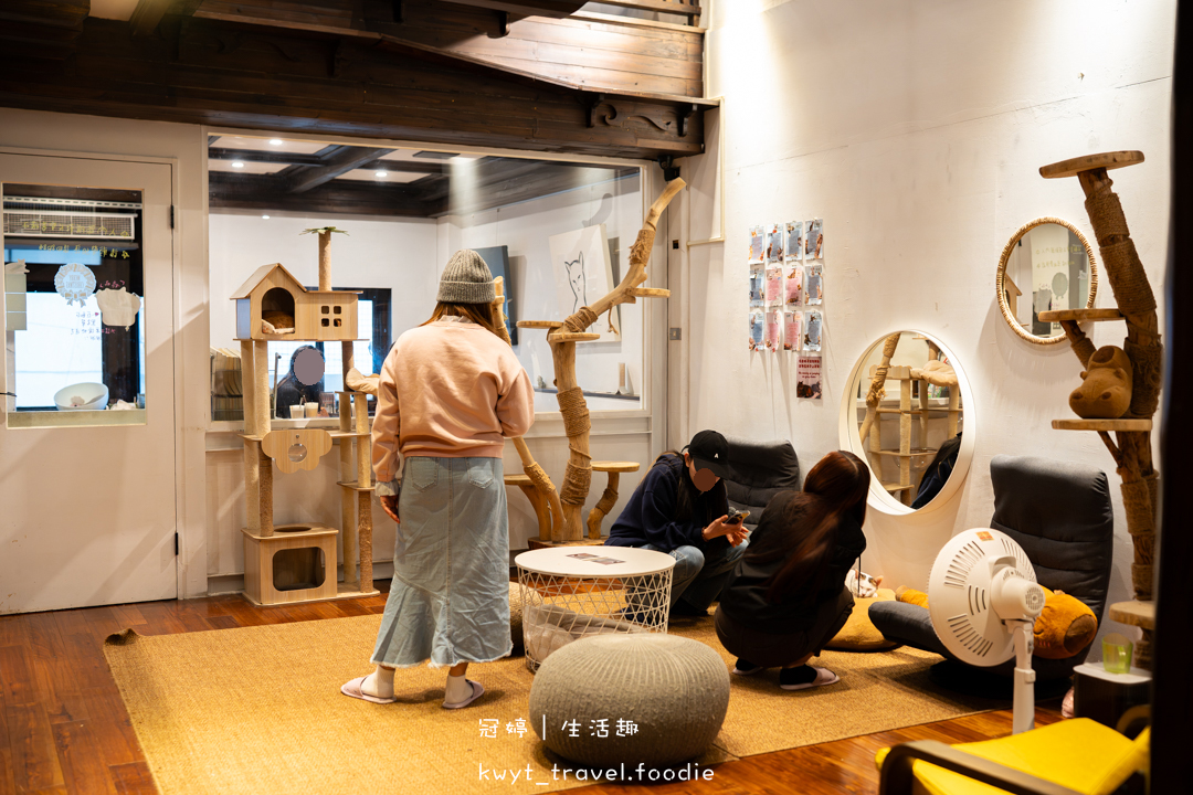 [新竹貓咪咖啡廳]招財咖啡，巷弄裡的療癒秘境！一樓有兩隻水豚君坐鎮、二樓是貓咪基地，新竹下午茶推薦，最新菜單
