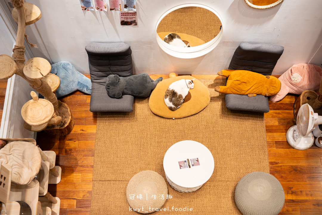 [新竹貓咪咖啡廳]招財咖啡，巷弄裡的療癒秘境！一樓有兩隻水豚君坐鎮、二樓是貓咪基地，新竹下午茶推薦，最新菜單