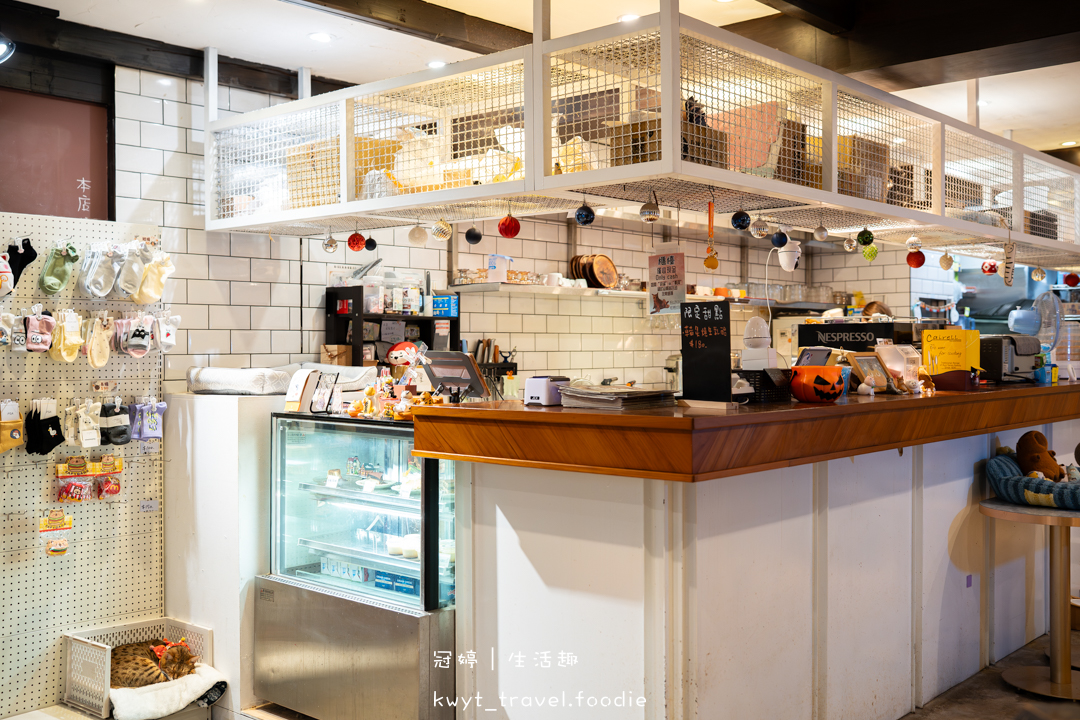 [新竹貓咪咖啡廳]招財咖啡，巷弄裡的療癒秘境！一樓有兩隻水豚君坐鎮、二樓是貓咪基地，新竹下午茶推薦，最新菜單