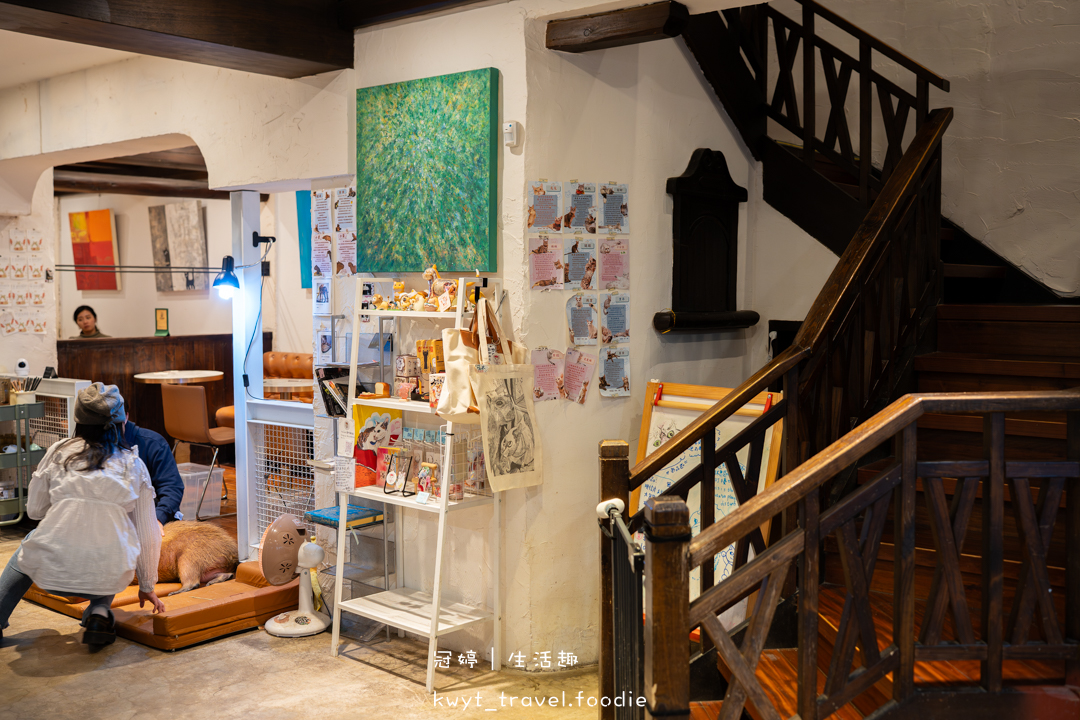 [新竹貓咪咖啡廳]招財咖啡，巷弄裡的療癒秘境！一樓有兩隻水豚君坐鎮、二樓是貓咪基地，新竹下午茶推薦，最新菜單